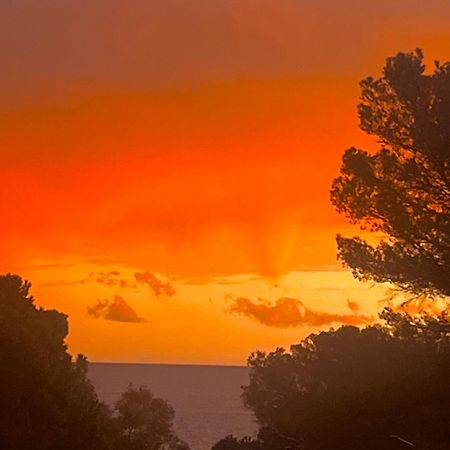 Maison Classee Sur Le Golfe De St Tropez サントロペ エクステリア 写真