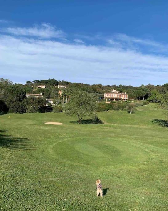 Maison Classee Sur Le Golfe De St Tropez サントロペ エクステリア 写真