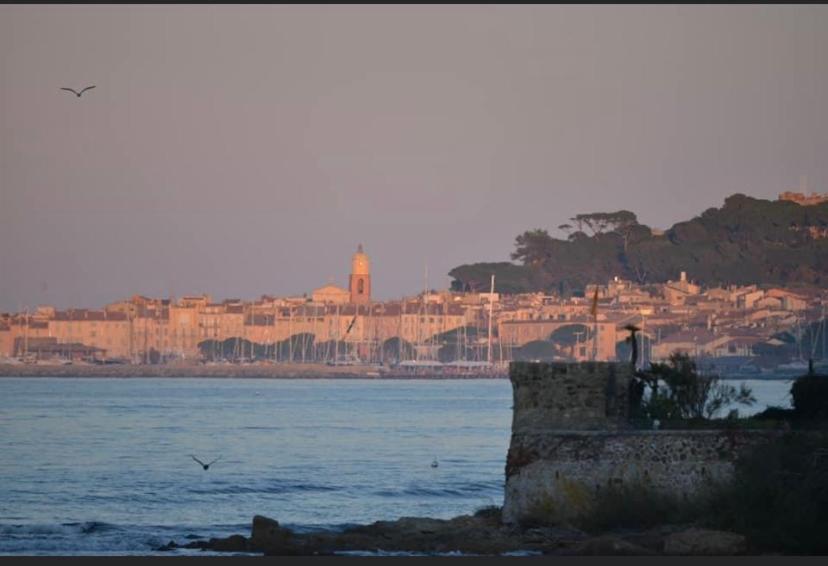 Maison Classee Sur Le Golfe De St Tropez サントロペ エクステリア 写真